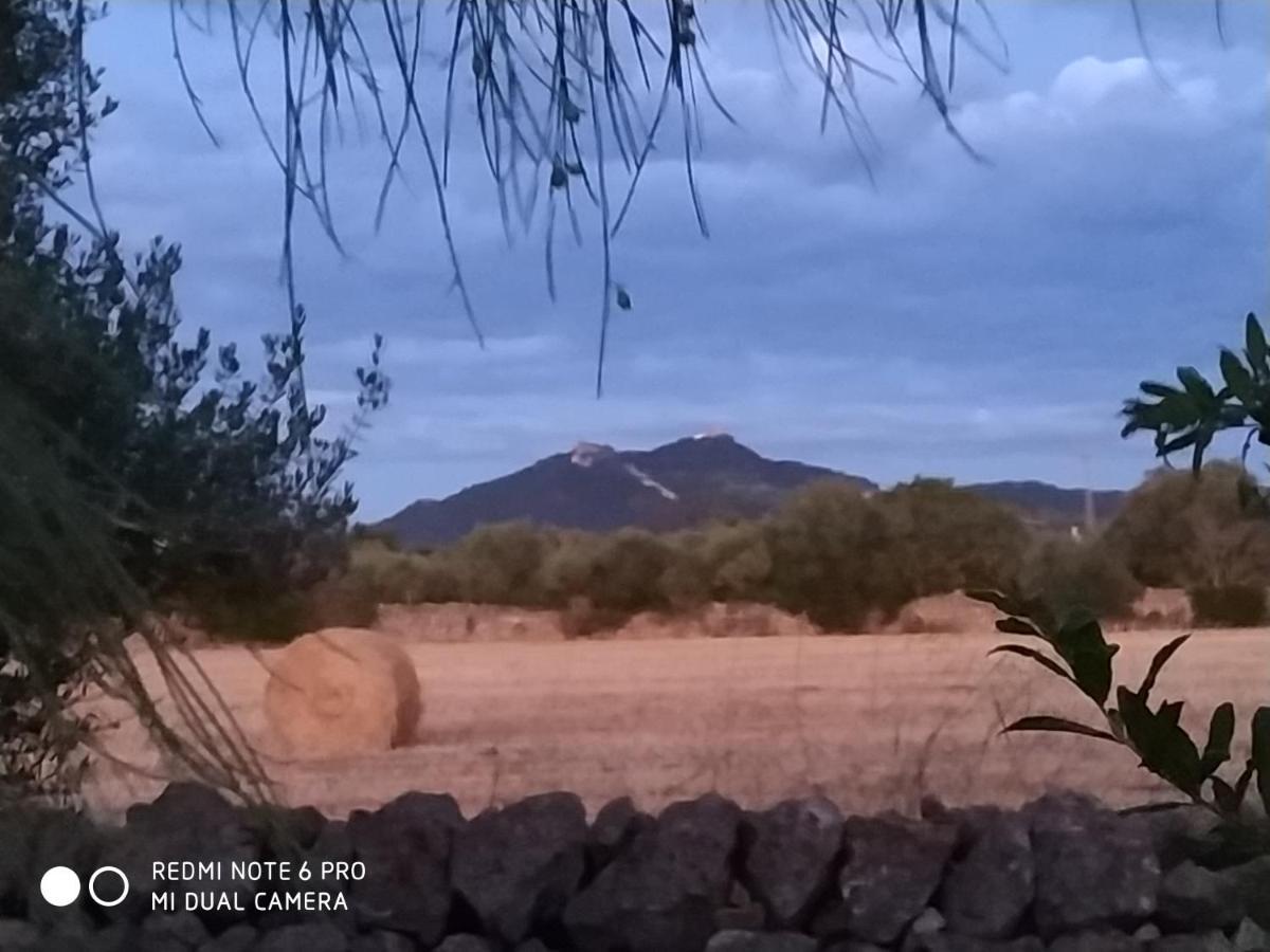 Agroturismo Bonvent