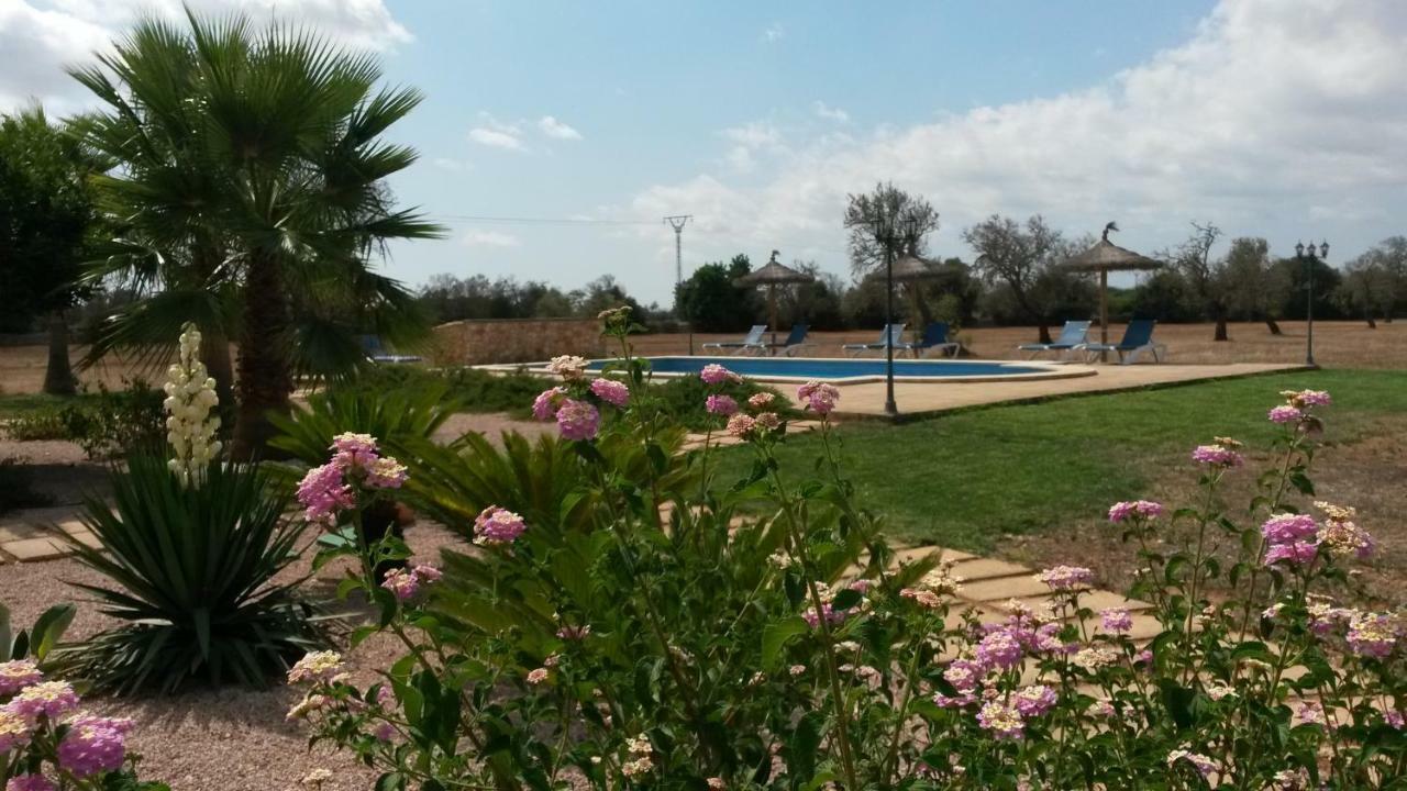 Agroturismo Bonvent Fenalitx (Fenalich)